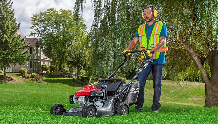 Lawn Care & Lawn Mower