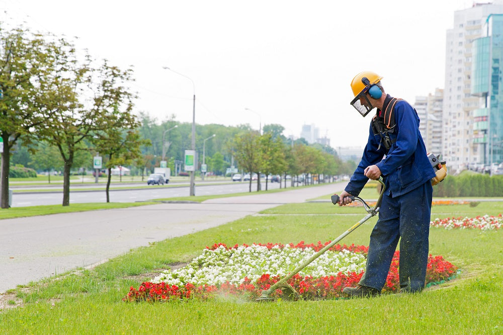 Lawn Care & Lawn Mower